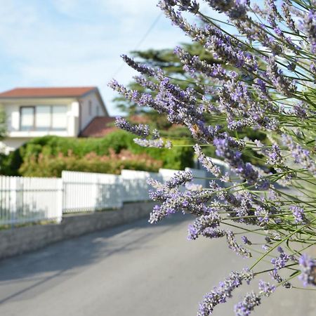 Vila Palma - App Palma & Room Figa Ankaran Zewnętrze zdjęcie