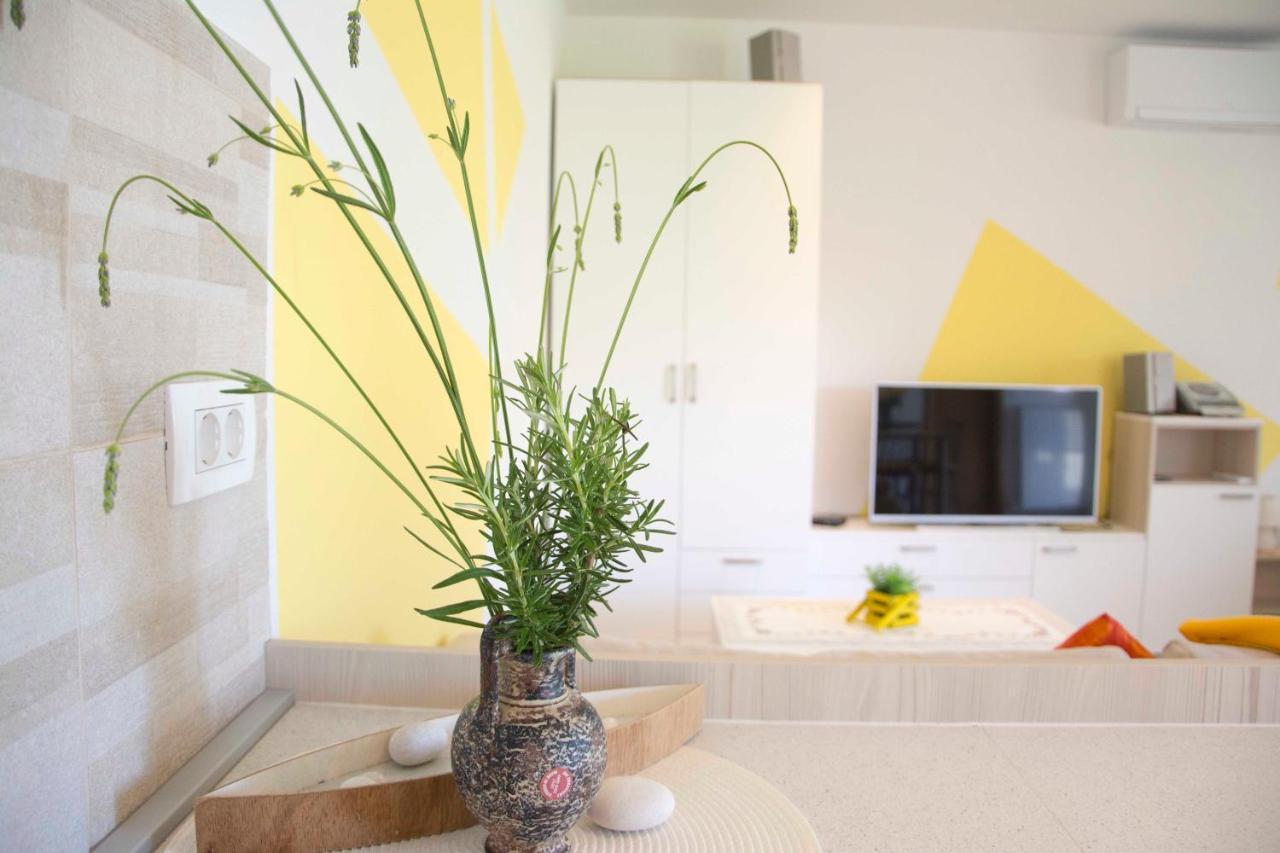 Vila Palma - App Palma & Room Figa Ankaran Zewnętrze zdjęcie