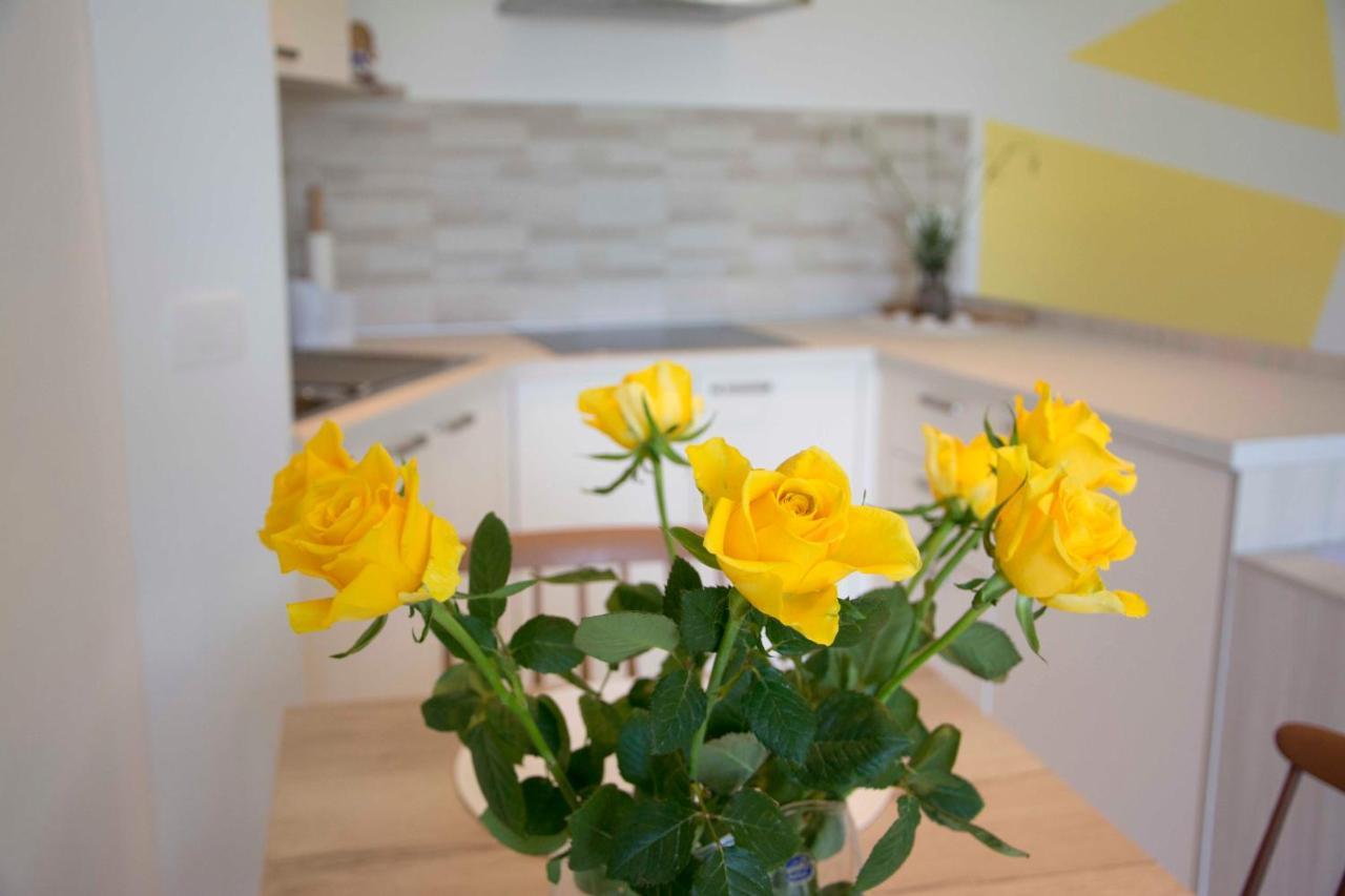 Vila Palma - App Palma & Room Figa Ankaran Zewnętrze zdjęcie
