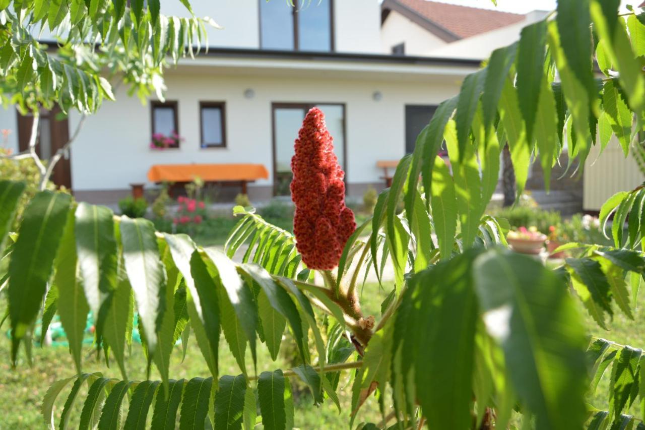 Vila Palma - App Palma & Room Figa Ankaran Zewnętrze zdjęcie
